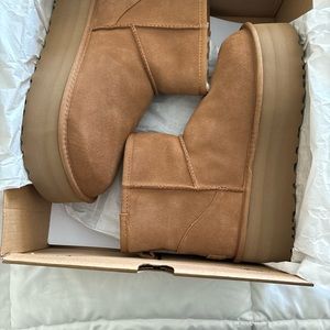 NWT Chestnut Platform UGG boots with original box